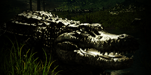 alligator_animals_new_world_wiki_guide_300px