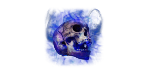 Ancient Skull (Attribute Item)