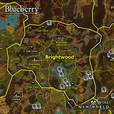 blueberry_brightwood_map_new_world_wiki_guide_400px
