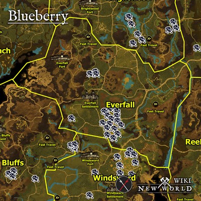 blueberry_everfall_map_new_world_wiki_guide_400px