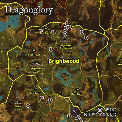 dragonglory_brightwood_map_new_world_wiki_guide_2000px_400px