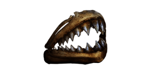 Fanged Jaw