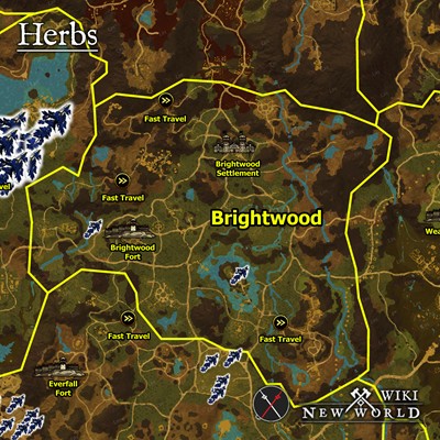 herbs_brightwood_map_new_world_wiki_guide_2000px