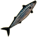 mackerel thumbnail fishing new world wiki guide