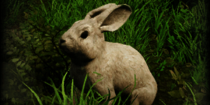 rabbit_animals_new_world_wiki_guide_300px