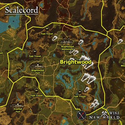 scalecord_brightwood_map_new_world_wiki_guide_400px