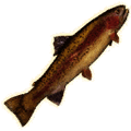 trout thumbnail fishing new world wiki guide
